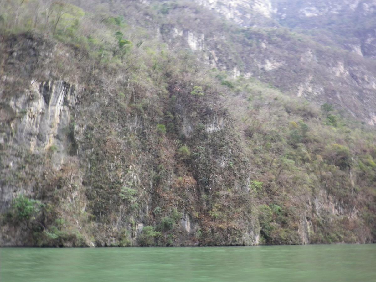 Sumidero Canyon near Tuxtla Gutierrez113